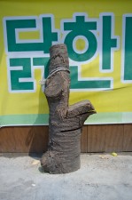 GHarhoff_Seoul-24 thumbnail