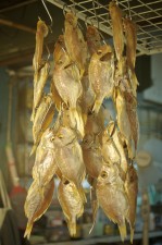 GHarhoff_Seoul-30 thumbnail