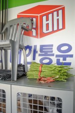 GHarhoff_Seoul-8 thumbnail