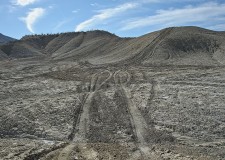 GHarhoff_Texas_800_05 thumbnail