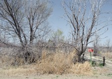Gharhoff_Texas_800_04 thumbnail